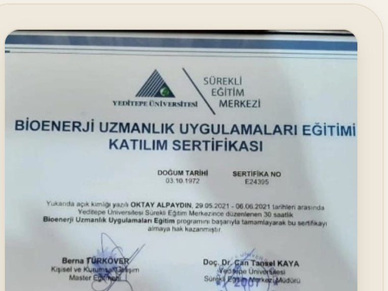Bioenerji Metafizik Master sertifikası